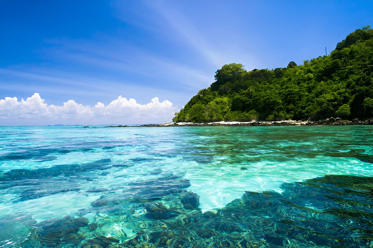 Andaman Island Private Tour