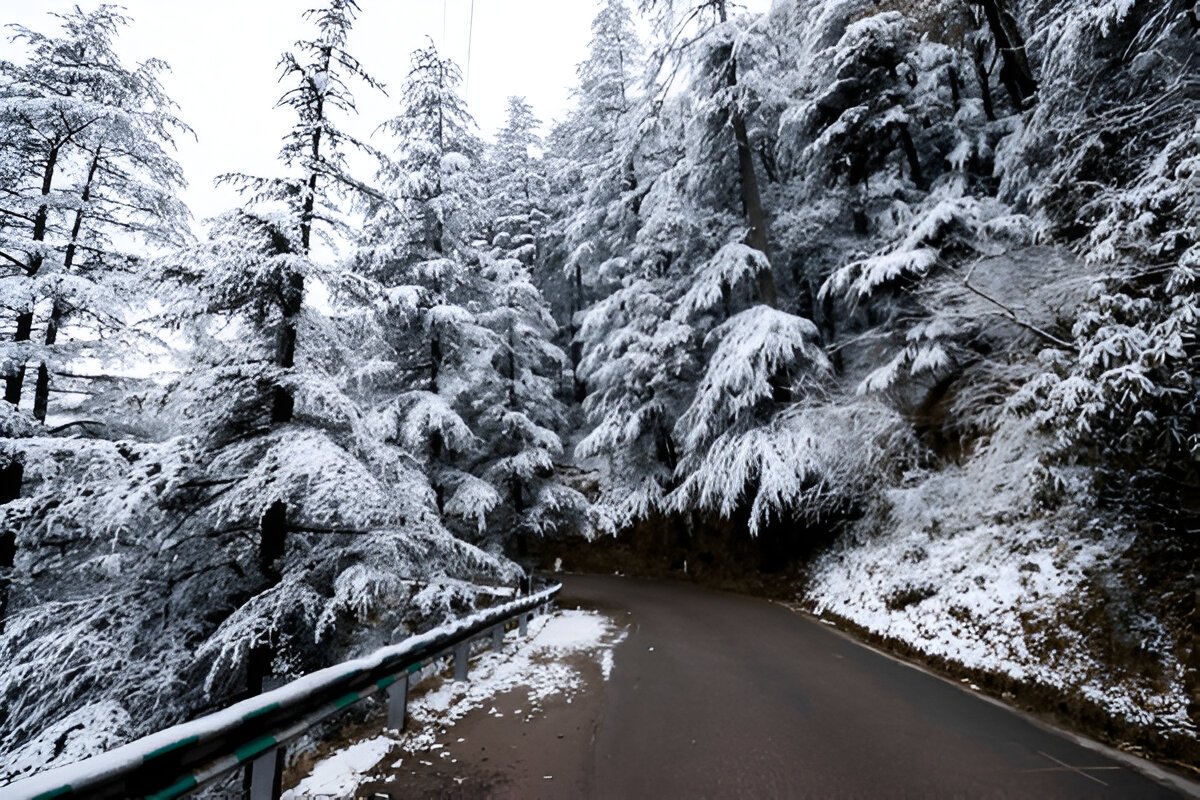Heavenly Himachal tour