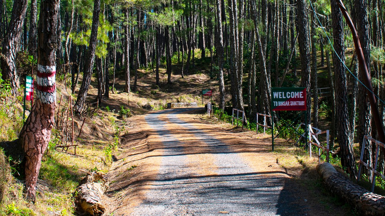 Binsar Wildlife Sanctuary Almora Uttarakhand