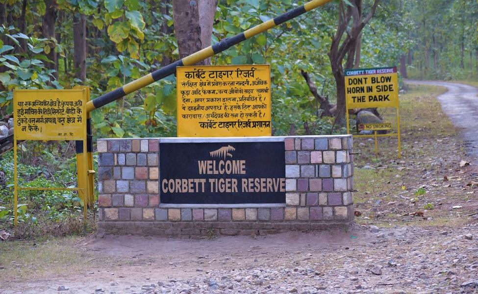 jim-corbett-national-park
