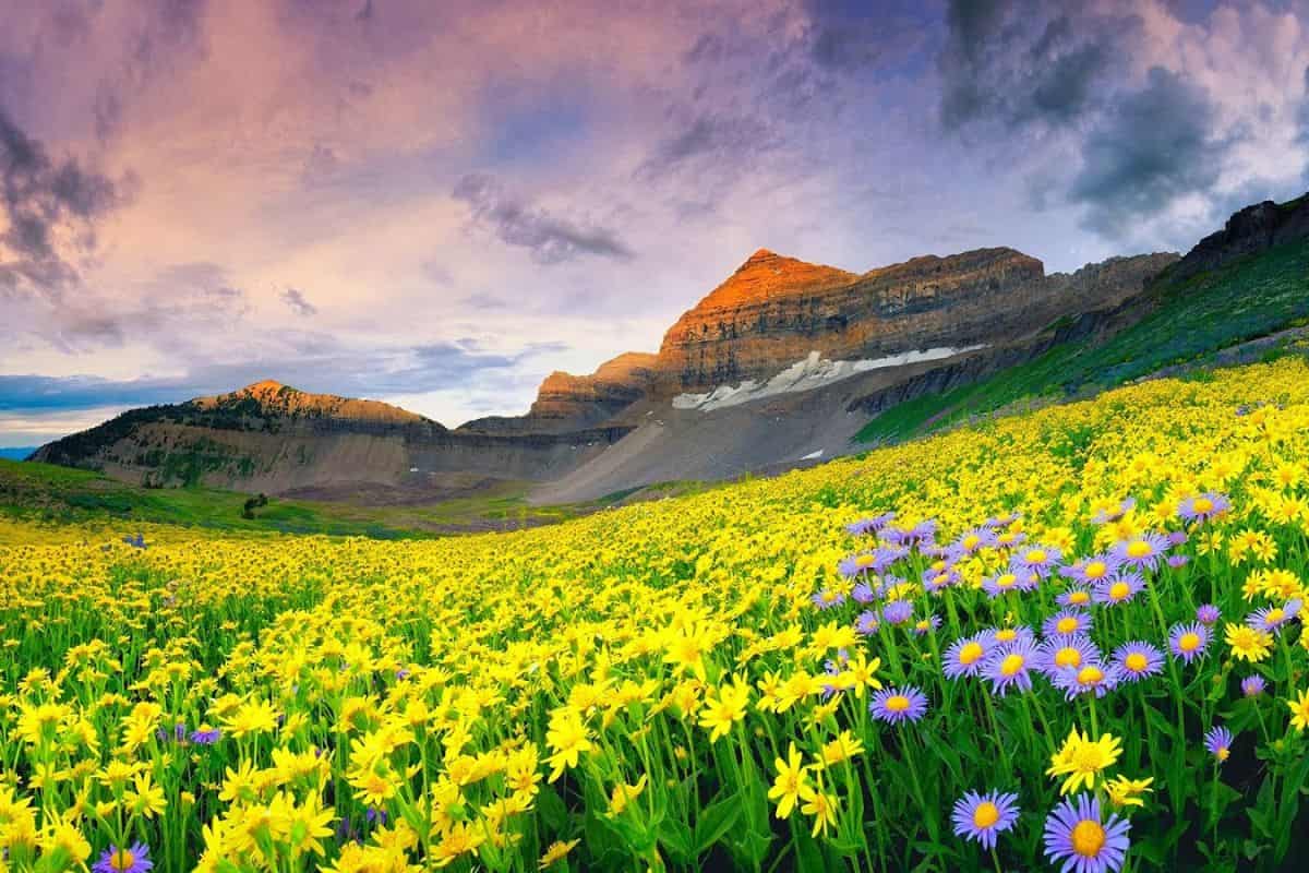 Valley of Flowers trek stunning uttarakhand attraction