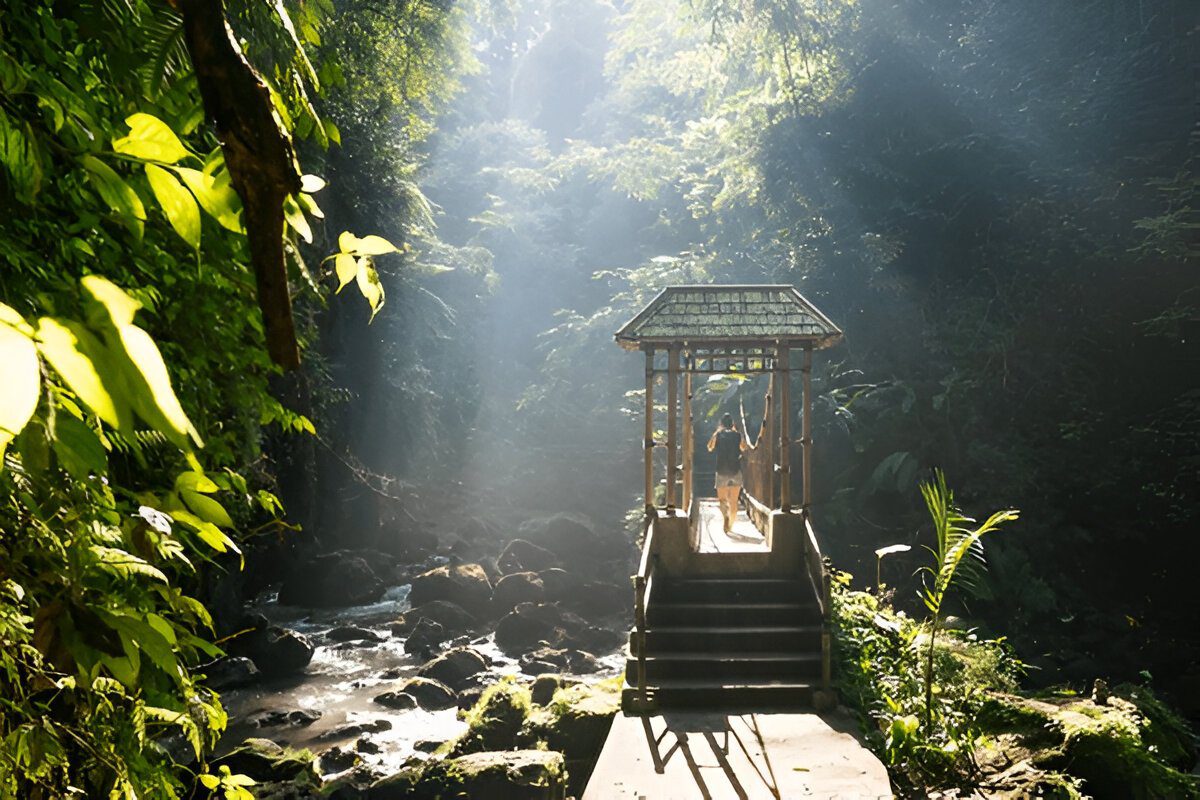 Explore Bali