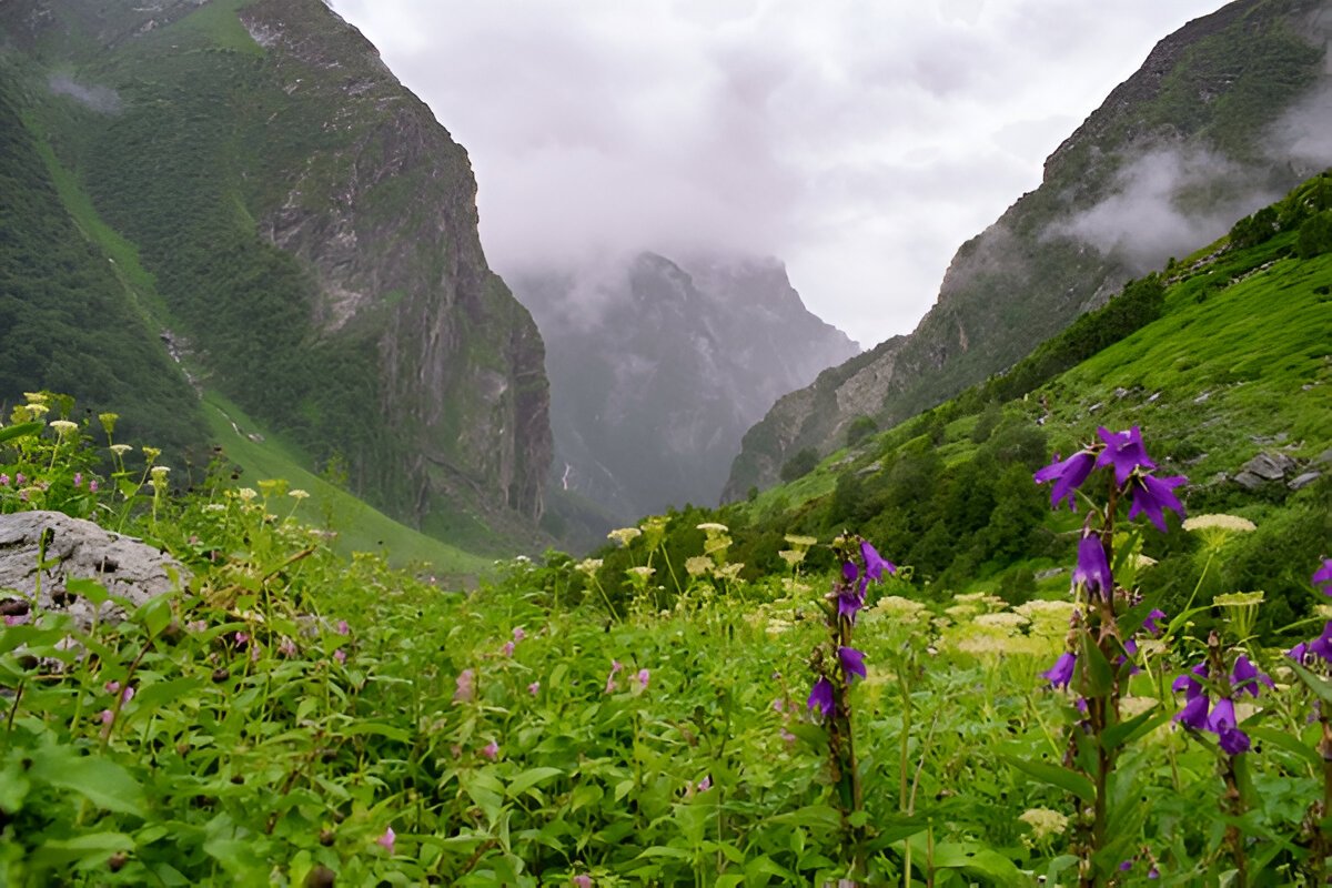 Valley Of Flowers Trek Budget Sharing Basis