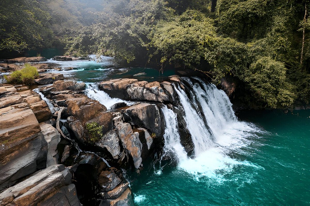 Karnataka Bangalore Coorg Mysore Ooty Tour