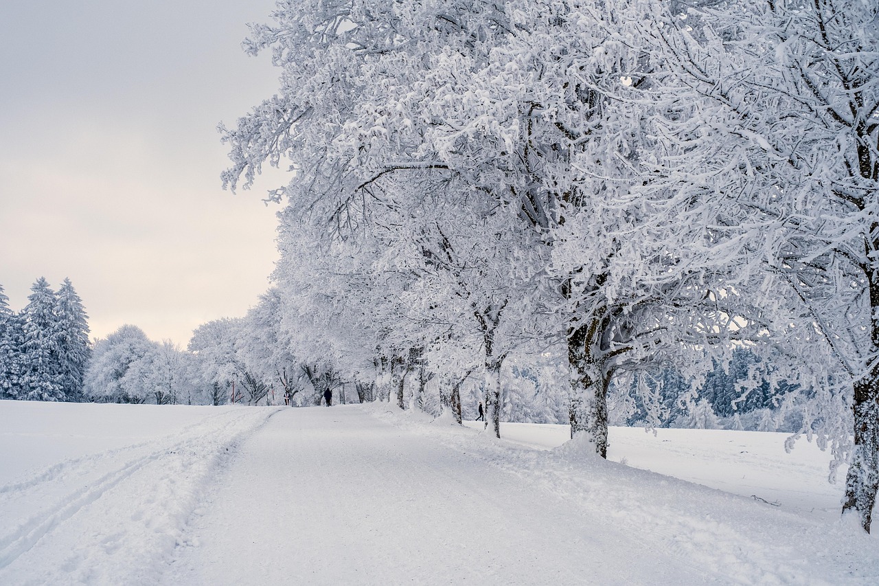 Snow-covered winter road bordered by frost-laden trees and a pale cloudy sky an inspiring scene for winter road trips.