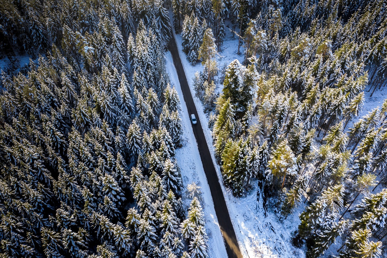 Aerial view of a forest road cutting through tall pine trees covered in snow, with a car driving along the dark asphalt surrounded by white winter scenery ideal for breathtaking winter road trips.