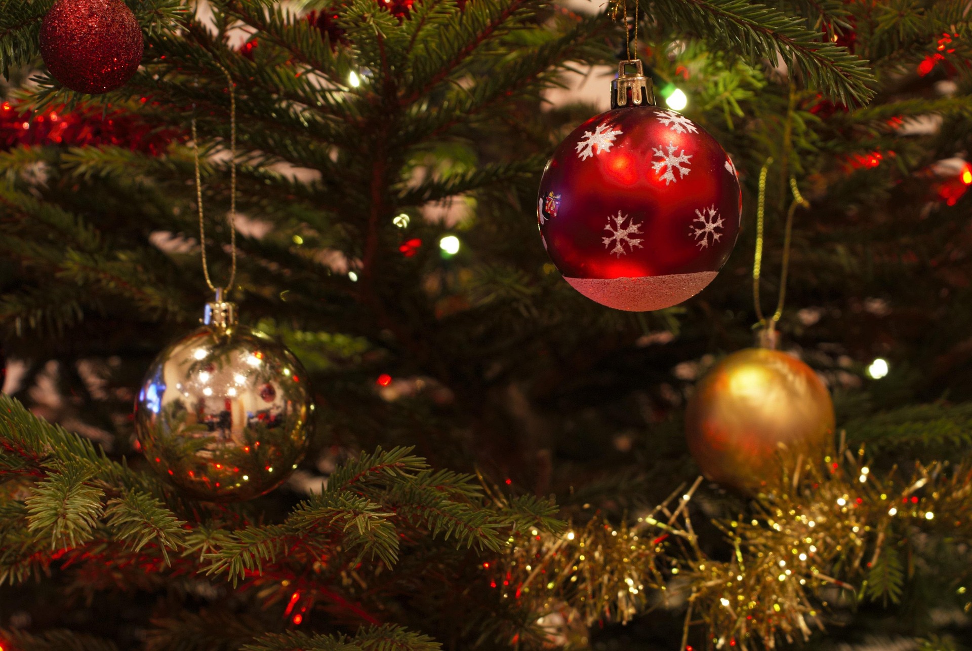 Christmas tree branches decorated with red, gold, and reflective ornaments with soft glowing lights, showing the charm of a December event.