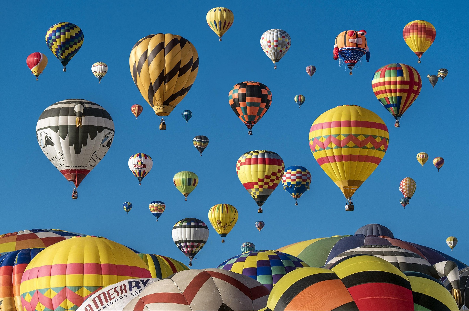 Colorful hot air balloons filling a clear blue sky at a winter celebration, representing festivals in December in India.