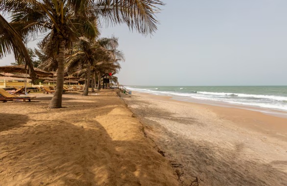 Palolem Beach, Goa - Where Beautiful Views Meet a Friendly Vibe