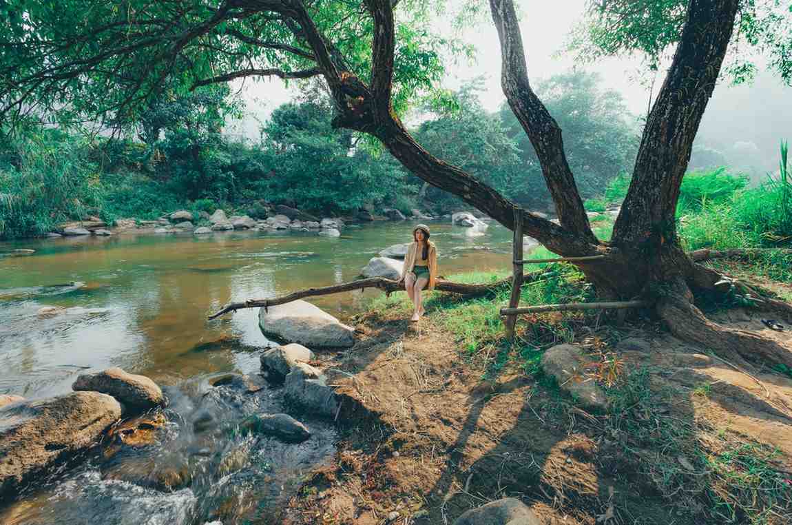 Best National Parks in India You Must Visit This Winter