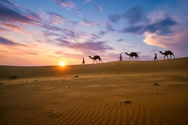 Camel caravan crossing desert at sunset highlighting daily travel budget India Towno
