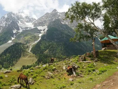kashmir tout